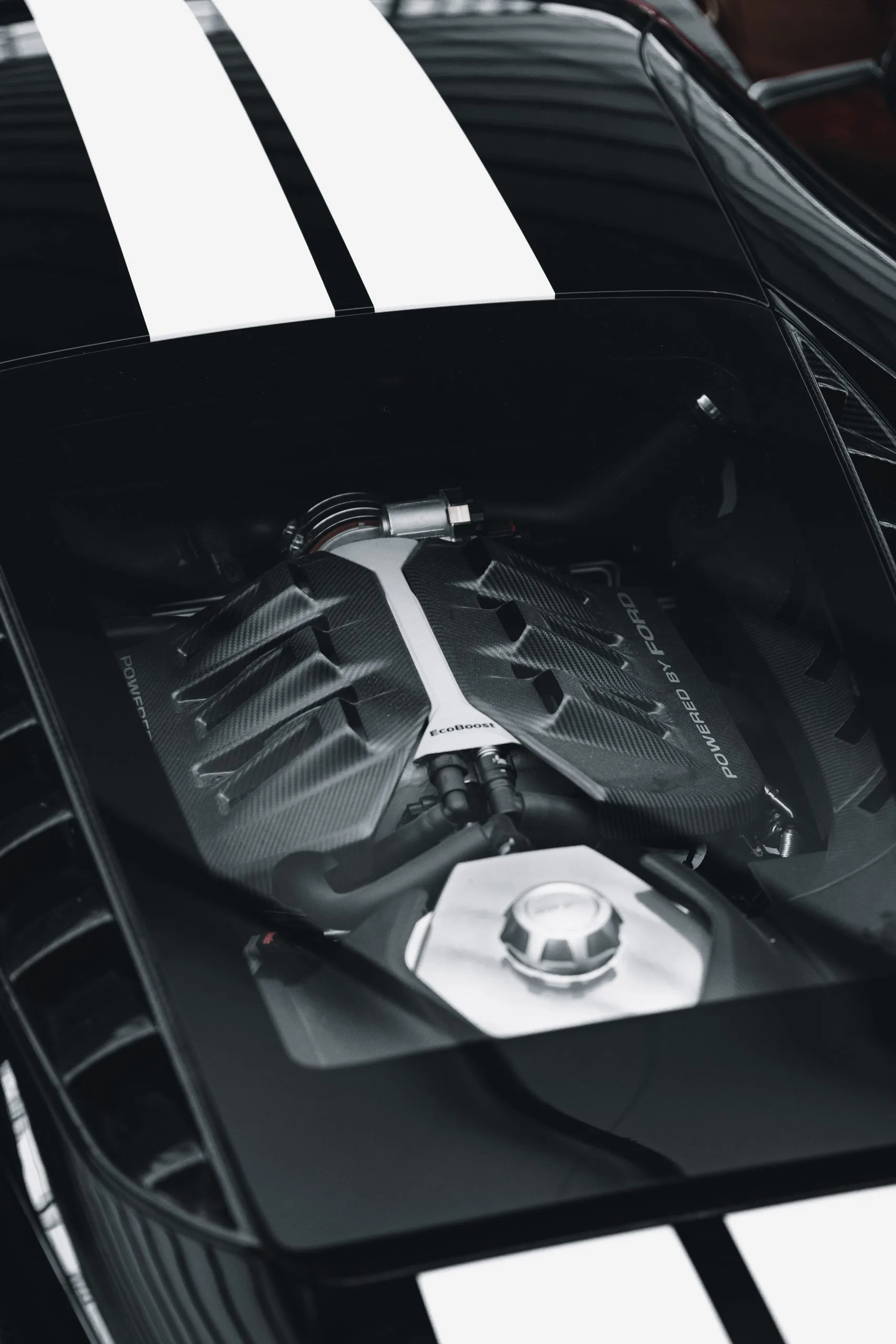 Black and white view through a rear window onto a car engine between two racing stripes