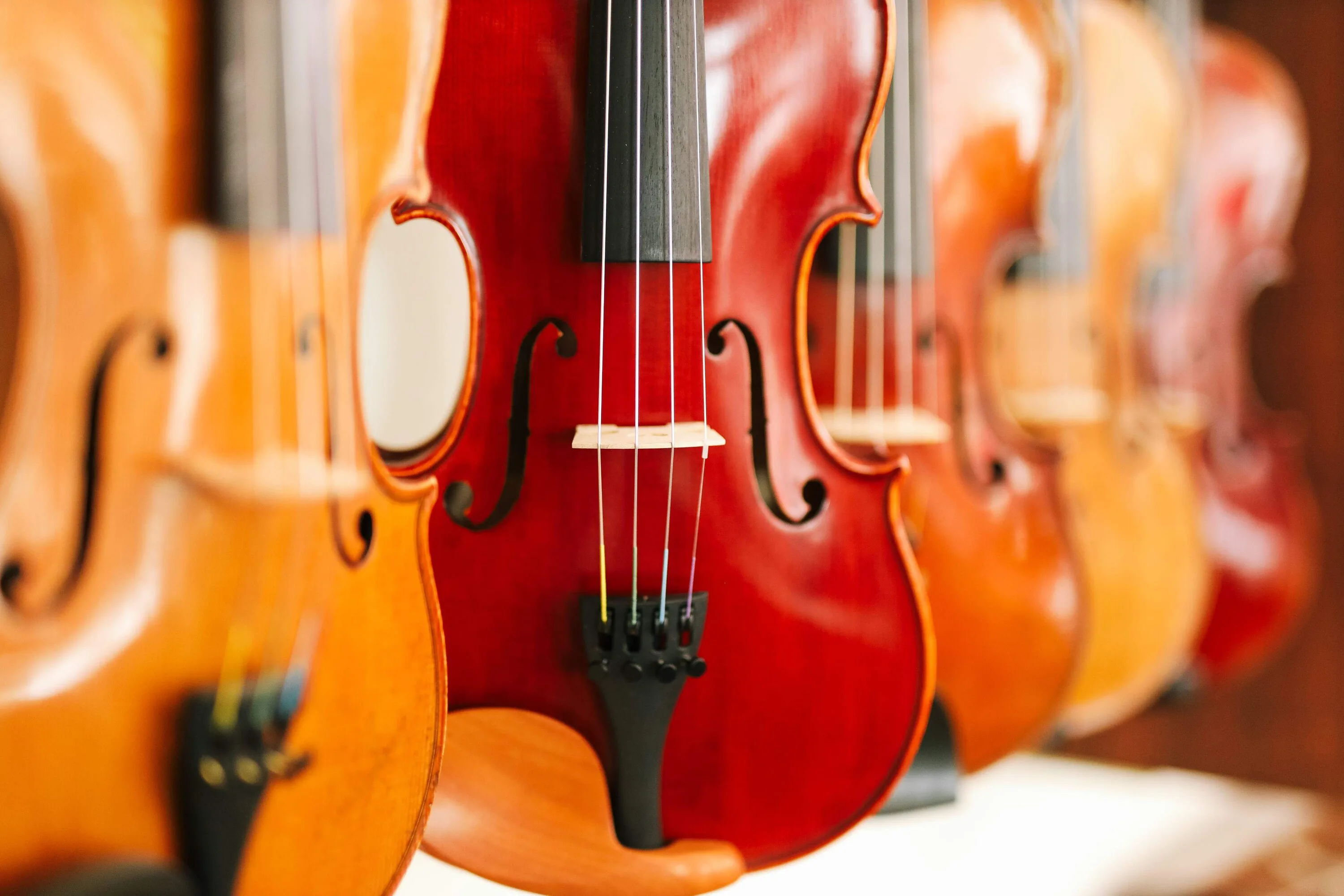 A row of violins in warm orange and red tones, one in sharp focus