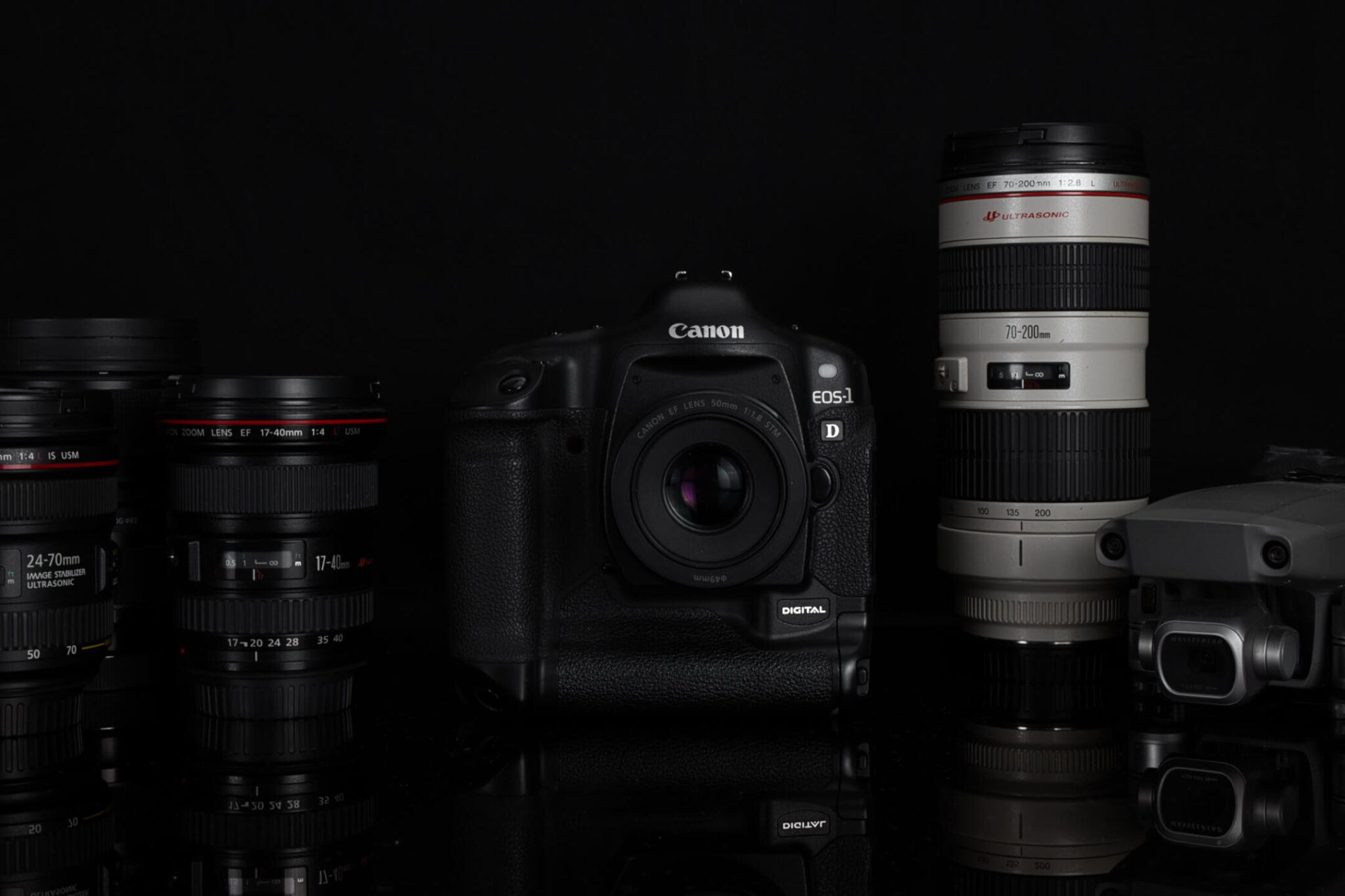 Canon 1D with lenses
